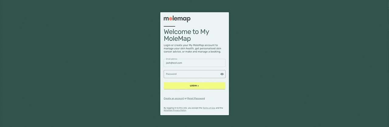 MoleMap website project image